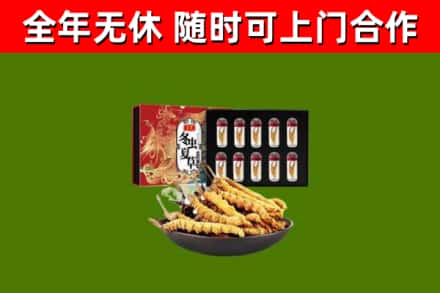 突泉县回收冬虫夏草价格